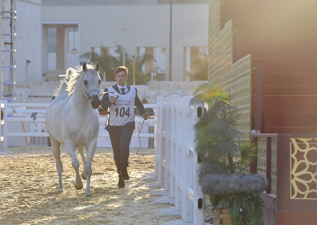 Farona: Mares 7-11 Years Old