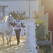 Farona: Mares 7-11 Years Old