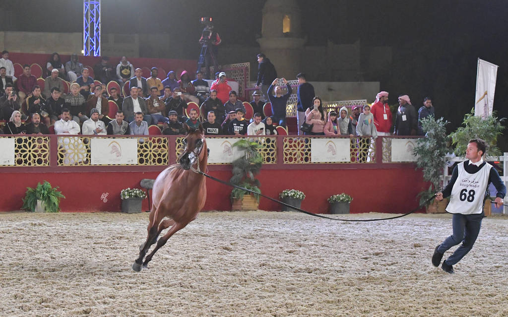 Maharaani: Fillies 3 Years Old