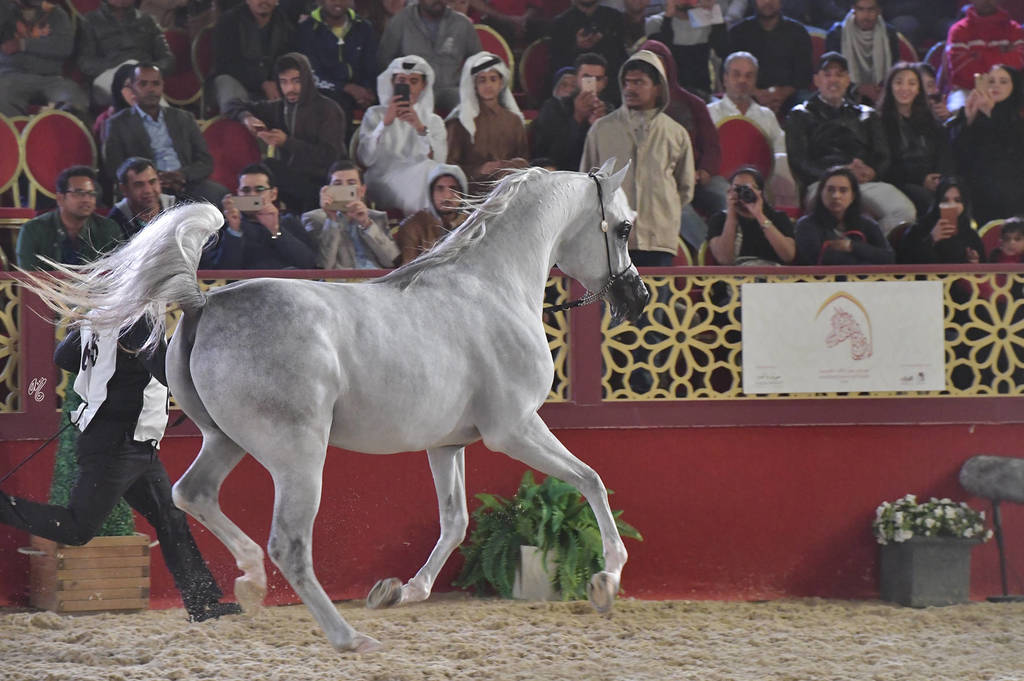 D Jaleel: Colts 3 Years Old   