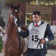 Batal Al Shahania: Colts 2 Years Old   