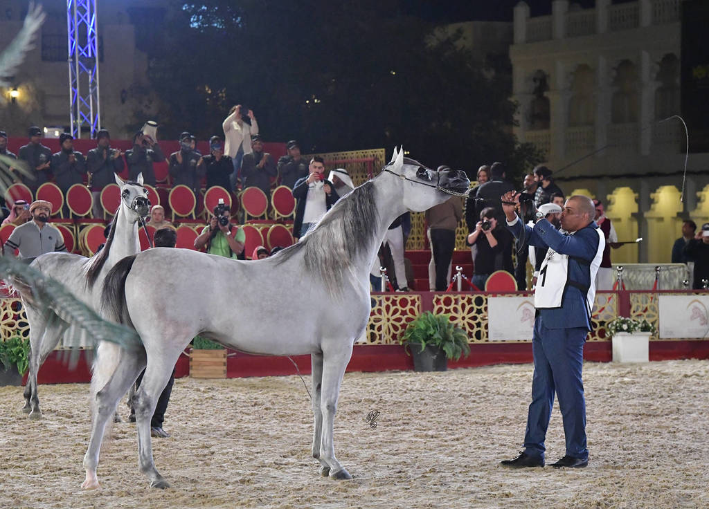 Aria Dinara: Fillies 3 Years Old 