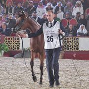 Arwa Al Nasser: Fillies 3 Years Old 