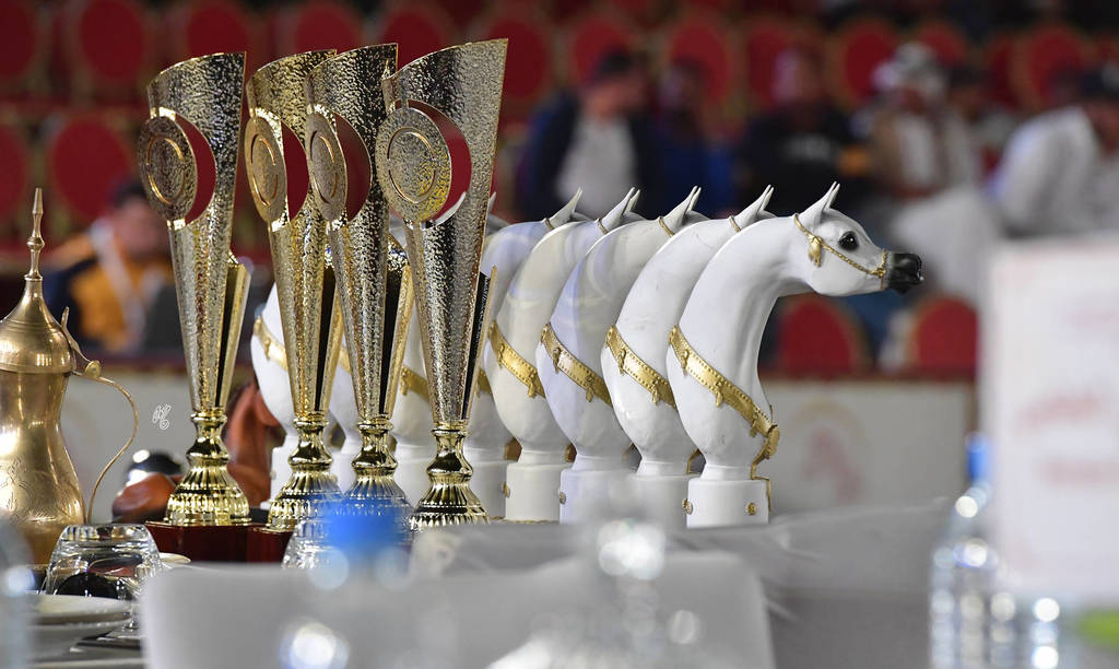 Lisa Abraham: The 2019 Souq Waqif Equestrian Festival