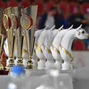 Lisa Abraham: The 2019 Souq Waqif Equestrian Festival