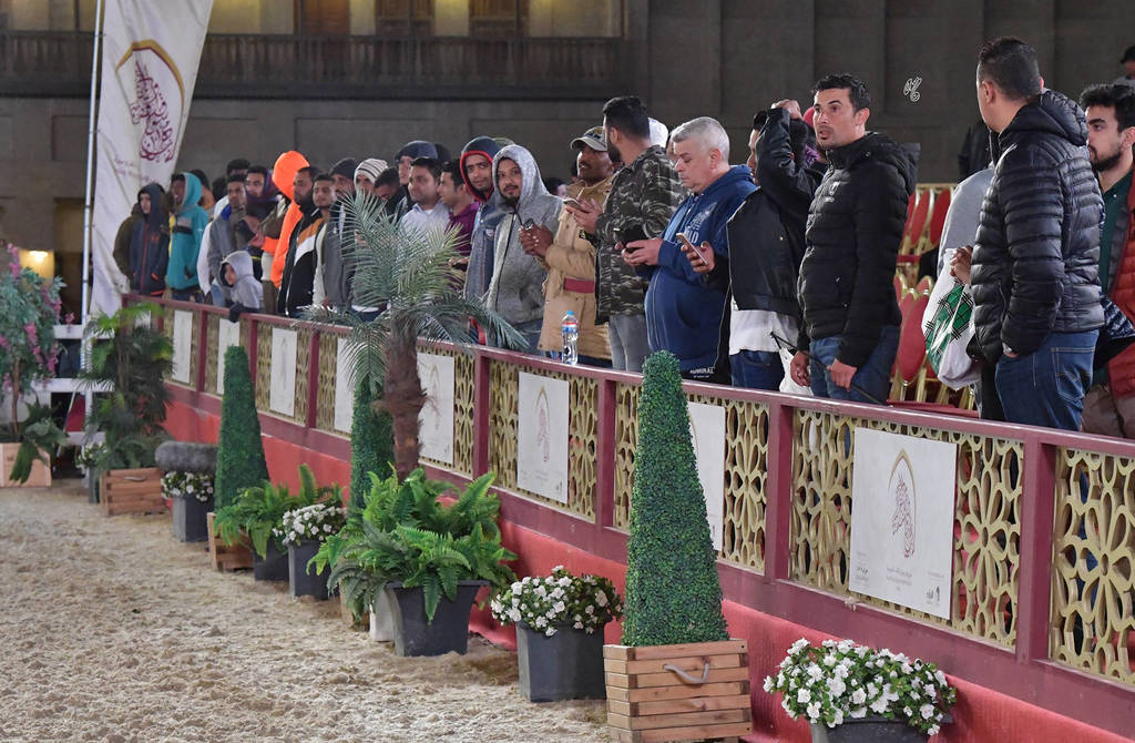 Lisa Abraham: The 2019 Souq Waqif Equestrian Festival