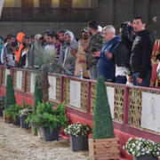 Lisa Abraham: The 2019 Souq Waqif Equestrian Festival