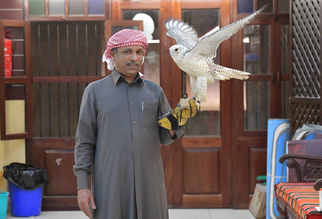 Lisa Abraham: The 2019 Souq Waqif Equestrian Festival