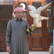 Lisa Abraham: The 2019 Souq Waqif Equestrian Festival