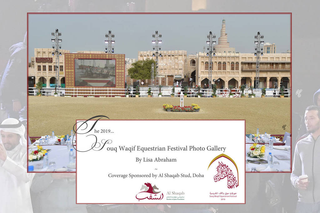 Lisa Abraham: The 2019 Souq Waqif Equestrian Festival