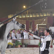 D Fala: Fillies 3 Years Old  