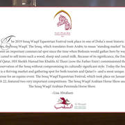 Lisa Abraham: The 2019 Souq Waqif Equestrian Festival