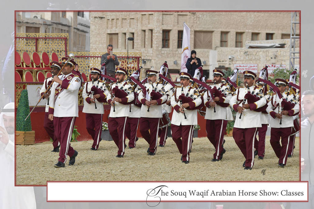 Lisa Abraham: The 2019 Souq Waqif Equestrian Festival