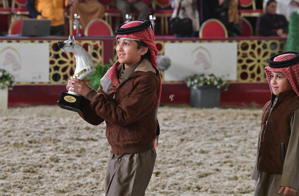 Senior Stallion Gold Champion: Fares Al Rayyan (Ansata Hejazi X G Shafaria)