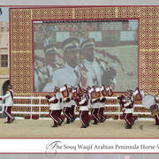 Lisa Abraham: The 2019 Souq Waqif Equestrian Festival