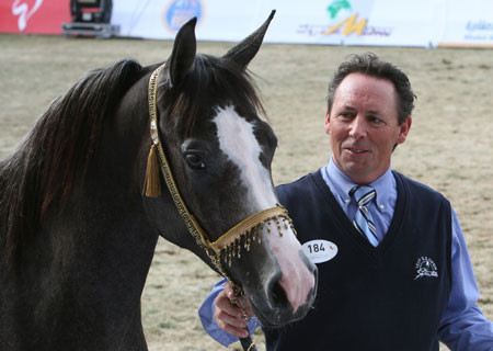 2008 The Al Khalediah Arabian Horse Show 