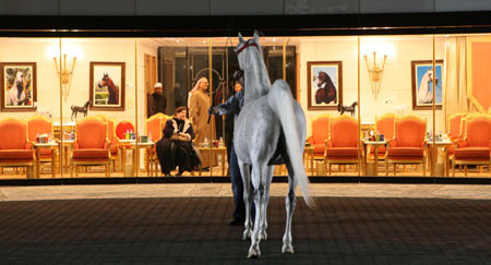 2008 The Al Khalediah Arabian Horse Show 