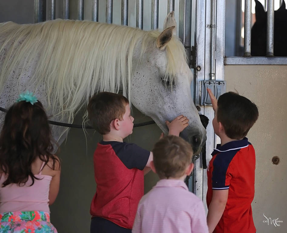 An Important Passing - Vona Sher-Renea