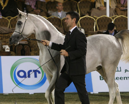 2008 The Al Khalediah Arabian Horse Show 