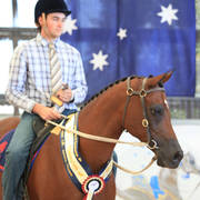AUSTRALIAN ARABIAN NATIONAL CHAMPIONSHIPS - 2019 - HIGHLIGHTS