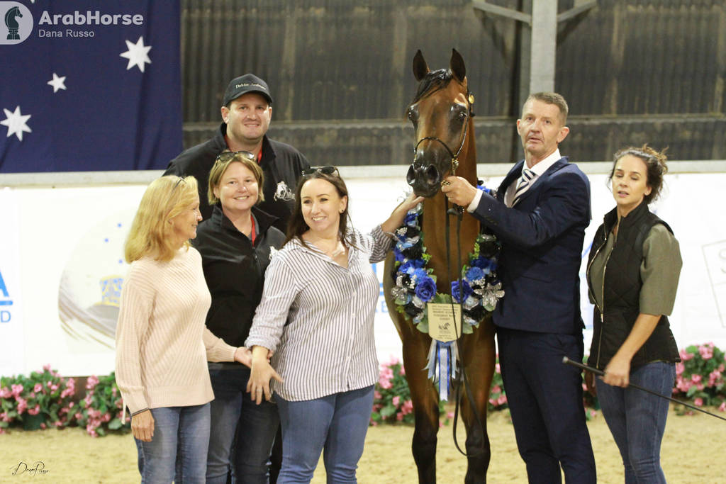 AUSTRALIAN ARABIAN NATIONAL CHAMPIONSHIPS - 2019 - HIGHLIGHTS