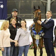 AUSTRALIAN ARABIAN NATIONAL CHAMPIONSHIPS - 2019 - HIGHLIGHTS