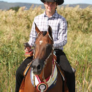 AUSTRALIAN ARABIAN NATIONAL CHAMPIONSHIPS - 2019 - HIGHLIGHTS