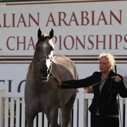 AUSTRALIAN ARABIAN NATIONAL CHAMPIONSHIPS - 2019 - HIGHLIGHTS