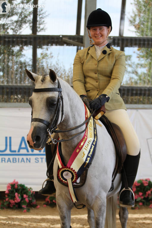 AUSTRALIAN ARABIAN NATIONAL CHAMPIONSHIPS - 2019 - HIGHLIGHTS