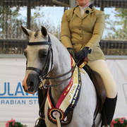AUSTRALIAN ARABIAN NATIONAL CHAMPIONSHIPS - 2019 - HIGHLIGHTS