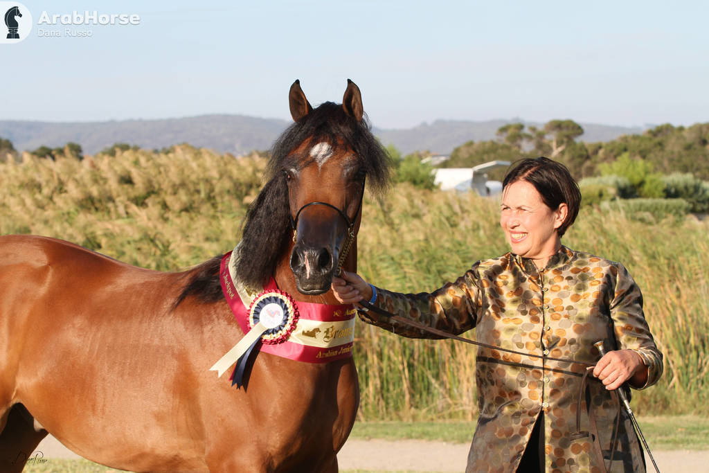 AUSTRALIAN ARABIAN NATIONAL CHAMPIONSHIPS - 2019 - HIGHLIGHTS