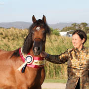 AUSTRALIAN ARABIAN NATIONAL CHAMPIONSHIPS - 2019 - HIGHLIGHTS