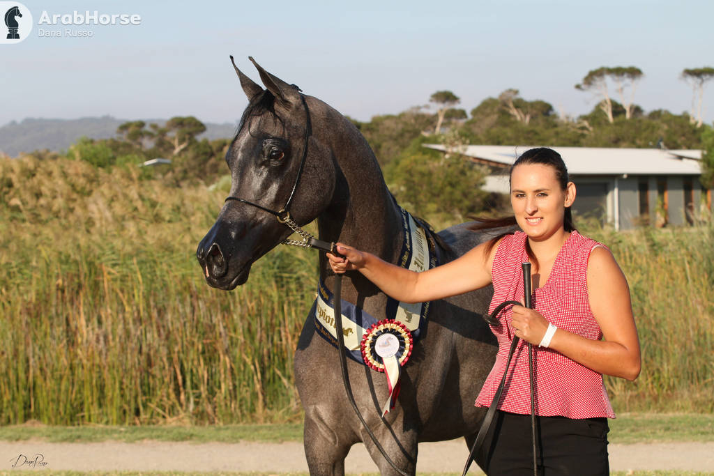 AUSTRALIAN ARABIAN NATIONAL CHAMPIONSHIPS - 2019 - HIGHLIGHTS
