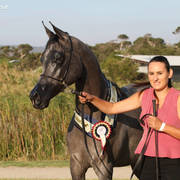 AUSTRALIAN ARABIAN NATIONAL CHAMPIONSHIPS - 2019 - HIGHLIGHTS