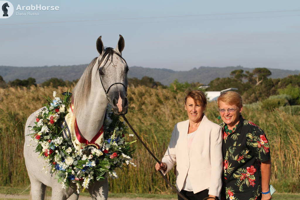 AUSTRALIAN ARABIAN NATIONAL CHAMPIONSHIPS - 2019 - HIGHLIGHTS