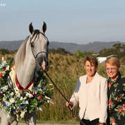 AUSTRALIAN ARABIAN NATIONAL CHAMPIONSHIPS - 2019 - HIGHLIGHTS