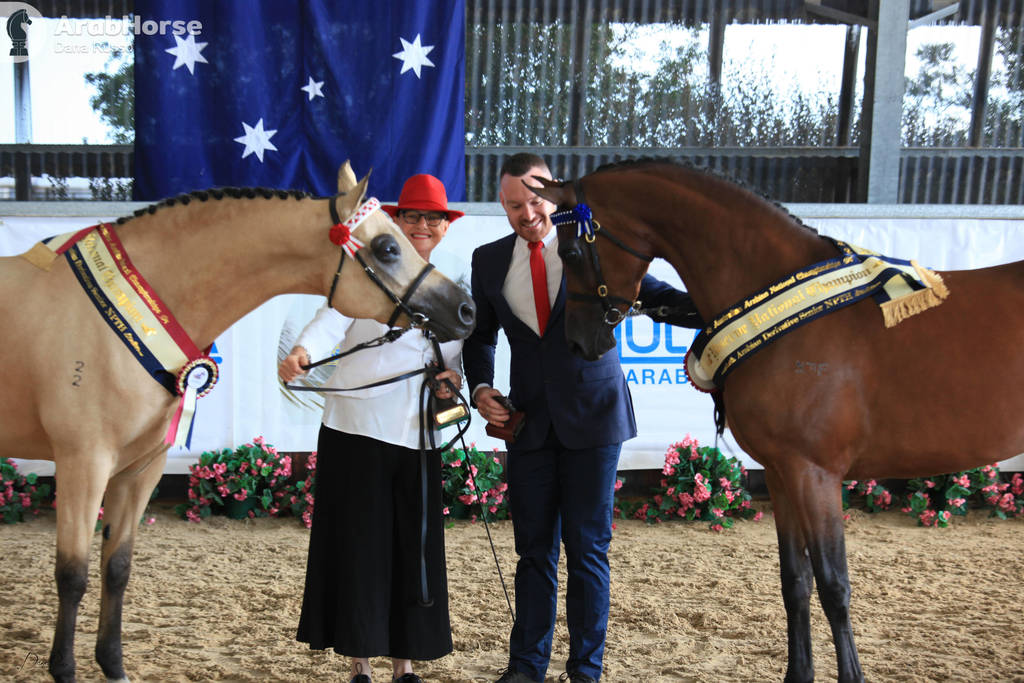 AUSTRALIAN ARABIAN NATIONAL CHAMPIONSHIPS - 2019 - HIGHLIGHTS