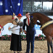 AUSTRALIAN ARABIAN NATIONAL CHAMPIONSHIPS - 2019 - HIGHLIGHTS