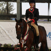 AUSTRALIAN ARABIAN NATIONAL CHAMPIONSHIPS - 2019 - HIGHLIGHTS