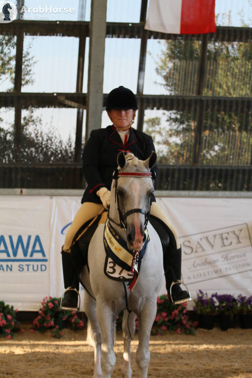 AUSTRALIAN ARABIAN NATIONAL CHAMPIONSHIPS - 2019 - HIGHLIGHTS