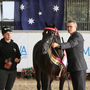 AUSTRALIAN ARABIAN NATIONAL CHAMPIONSHIPS - 2019 - HIGHLIGHTS