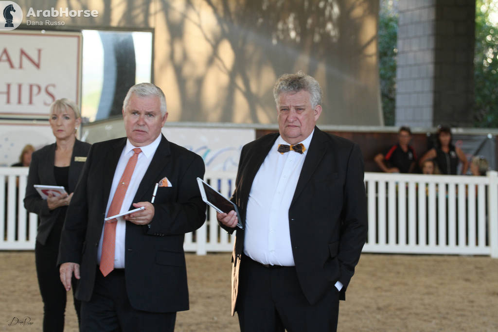 AUSTRALIAN ARABIAN NATIONAL CHAMPIONSHIPS - 2019 - HIGHLIGHTS