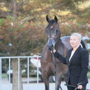 AUSTRALIAN ARABIAN NATIONAL CHAMPIONSHIPS - 2019 - HIGHLIGHTS