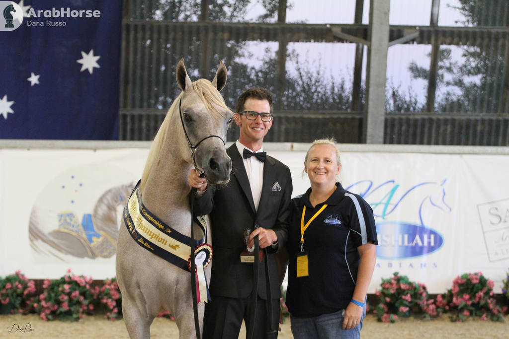 AUSTRALIAN ARABIAN NATIONAL CHAMPIONSHIPS - 2019 - HIGHLIGHTS