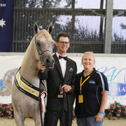 AUSTRALIAN ARABIAN NATIONAL CHAMPIONSHIPS - 2019 - HIGHLIGHTS