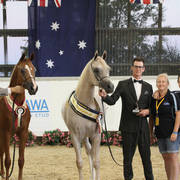 AUSTRALIAN ARABIAN NATIONAL CHAMPIONSHIPS - 2019 - HIGHLIGHTS