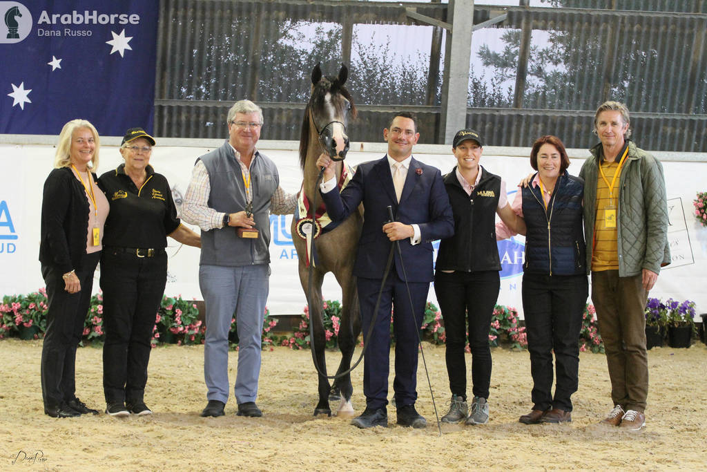 AUSTRALIAN ARABIAN NATIONAL CHAMPIONSHIPS - 2019 - HIGHLIGHTS