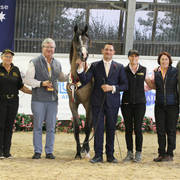 AUSTRALIAN ARABIAN NATIONAL CHAMPIONSHIPS - 2019 - HIGHLIGHTS