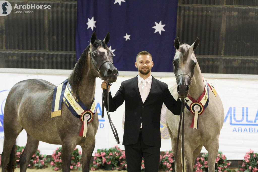 AUSTRALIAN ARABIAN NATIONAL CHAMPIONSHIPS - 2019 - HIGHLIGHTS