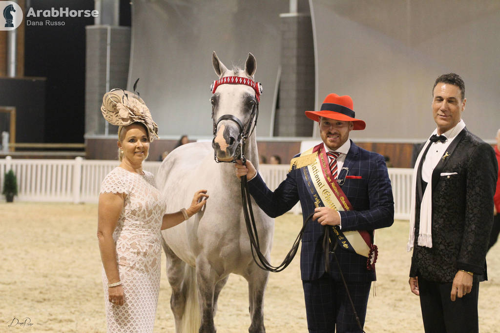 AUSTRALIAN ARABIAN NATIONAL CHAMPIONSHIPS - 2019 - HIGHLIGHTS